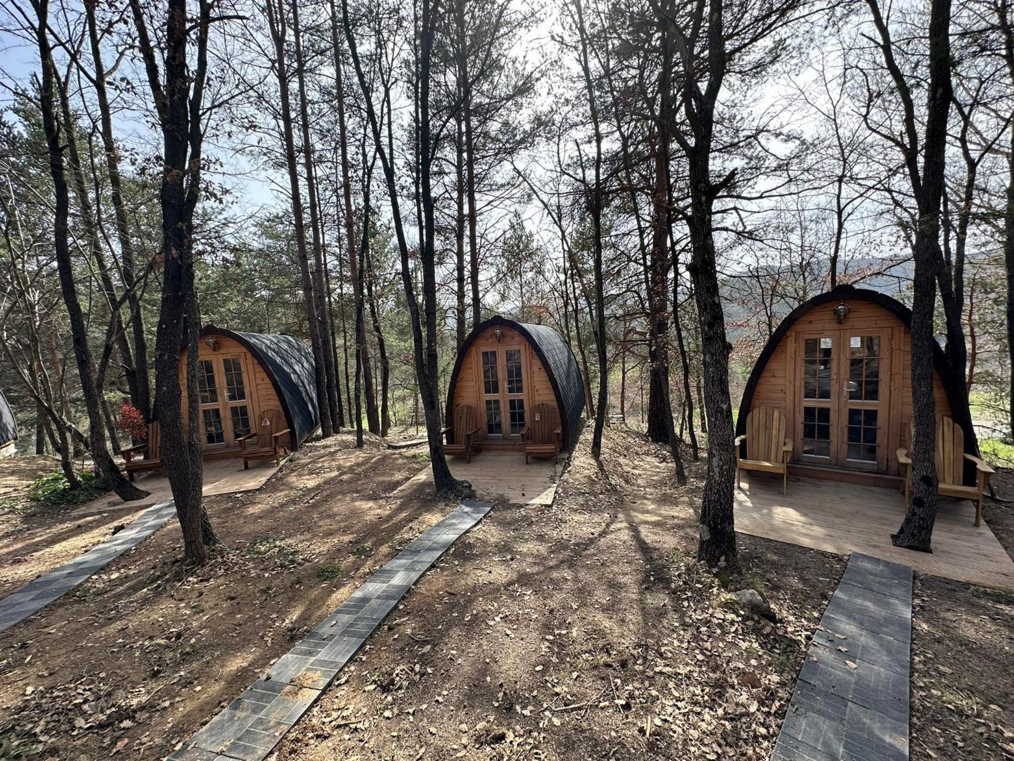 Camping Ripolles 外观 照片