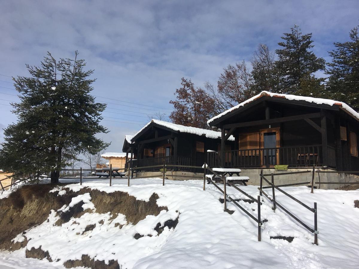 Camping Ripolles 外观 照片